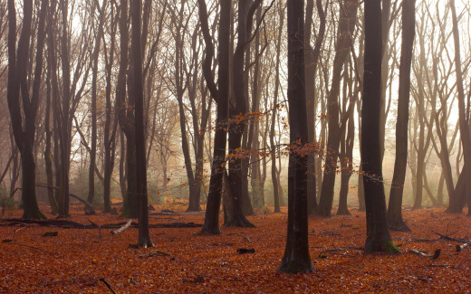 693463 (a): :1920x1200